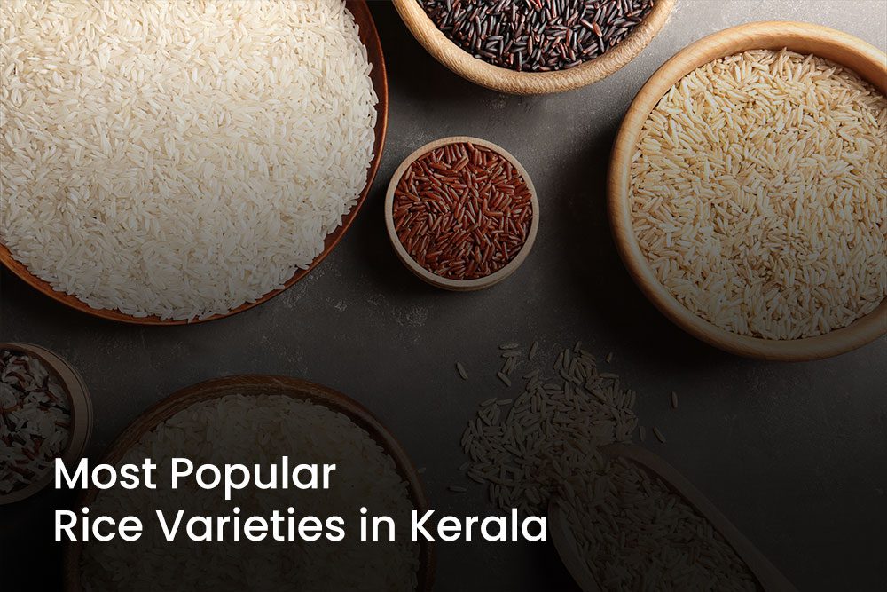 Most Popular Rice Varieties in Kerala